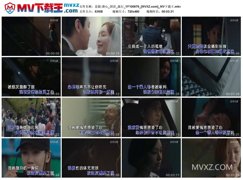 花姐-烫心_国语_流行_YF100679